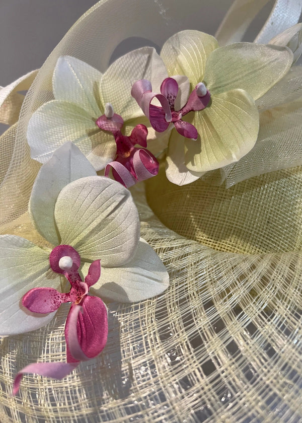 Pomona with Orchids Jane Taylor London